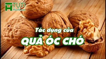 7 TÁC DỤNG CỦA QUẢ ÓC CHÓ VỚI SỨC KHỎE KHÔNG THỂ XEM THƯỜNG | ĂN QUẢ ÓC CHÓ CÓ TÁC DỤNG GÌ ?