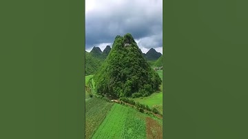القارئ عمر الدريويز (ان الله وملائكته يصلون على النبي..)