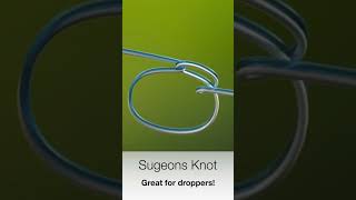 Surgeons Knot #fishing #knots #shorts