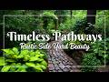Woodland Garden Pathways for a Side Yard 🍂 Elegant Rustic Strolls with Vintage Stone Accents