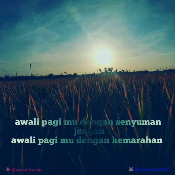 Cuaca di pagi hari ☀☀( cocok buat story WA)