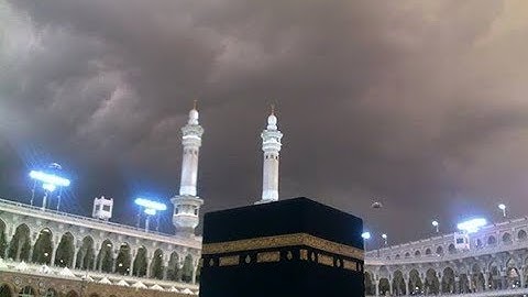 المصحف المرتل برواية رويس عن يعقوب الحضرمي بصوت الشيخ إبراهيم القرجاوي سورة يونس  010