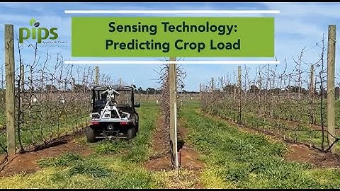 Sensing technologies to improve predictions and management of crop load – a PIPS3 update