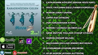 Özgür Selçuk - Horon Resimi