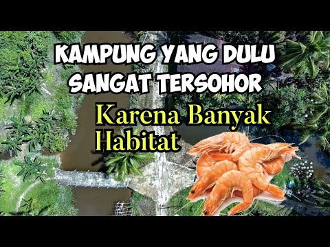 Sungai Udang Pontianak