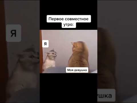 Первое совместное утро |Tik tok \ приколы тик ток| #shorts