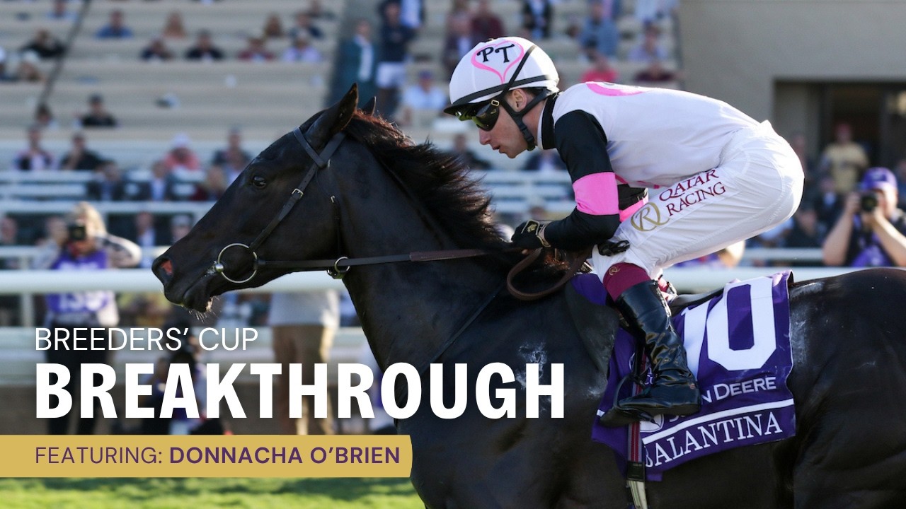 BC Breakthrough: Donnacha O'Brien Reaches Higher After