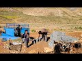 🐐 Nomadic life in Zagros | Repairing goat houses and a day full of hard work in the mountains 🏔️