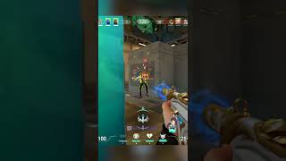 Radiant Sage Owns The Site Without Help 