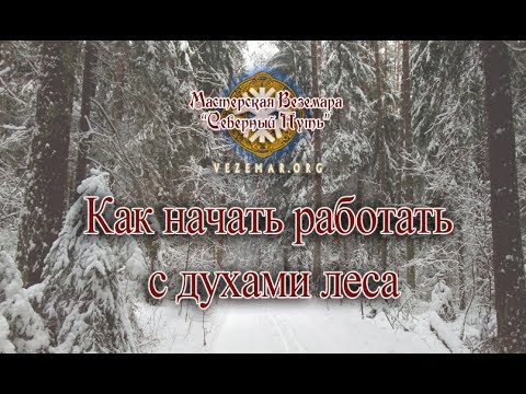 Видео: Веземар. Как начать работать с духами леса