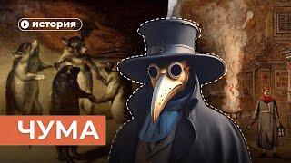 видео: Как мы победили чуму? картинка: Как мы победили чуму?