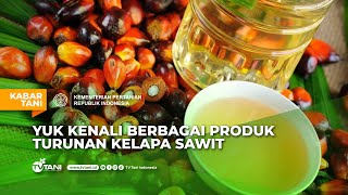 Yuk, Kenali Berbagai Produk Turunan Kelapa Sawit!
