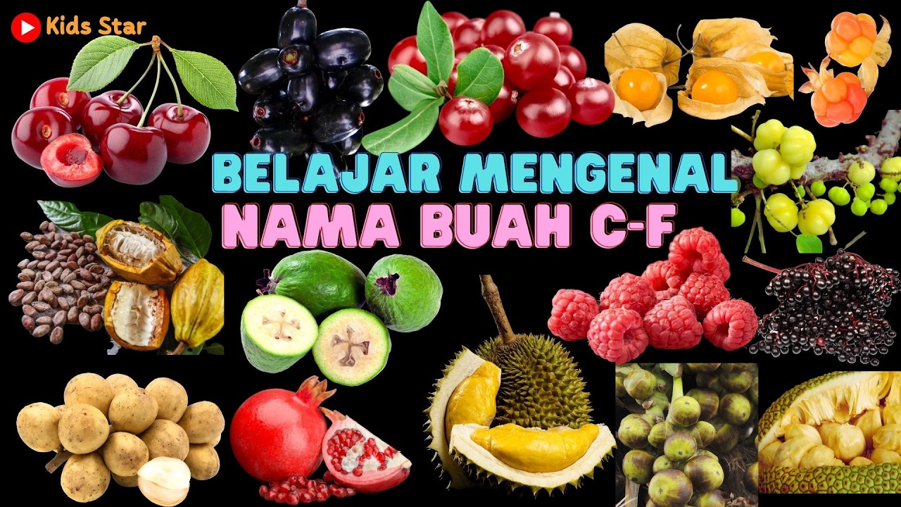 BELAJAR MENGENAL NAMA BUAH AWALAN C-F | BAHASA INDONESIA DAN BAHASA INGGRIS | LEARNING FRUITS NAMES