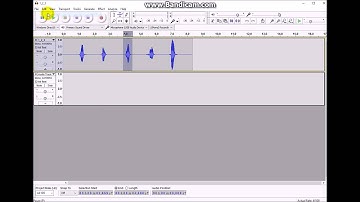 Audacity - Cut, Copy, Paste