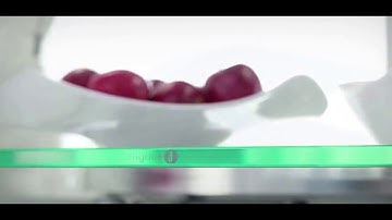 Orbital Dining Table by Calligaris - Resaikos Italian Living