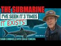 The submarine  part 1  its real ive seen south africas giant great white shark three times