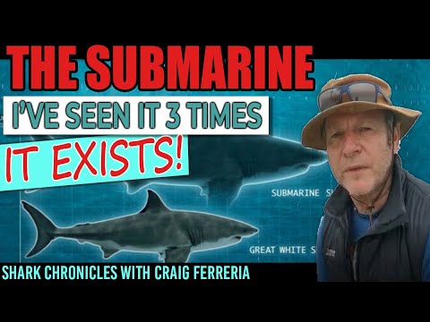 The Submarine - Part 1.  It&rsquo;s real! I&rsquo;ve seen South Africa&rsquo;s giant great white shark three times!
