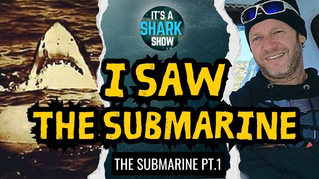The Submarine - Part 1. It's real! I've seen South Africa's giant great  white shark three times! - YouTube