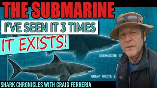 The Submarine - Part 1.  It's real! I've seen South Africa's giant great white shark three times!