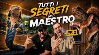 PT.2 - Inside Italy's Deadliest Snake Room | Secrets of the Master screenshot 4