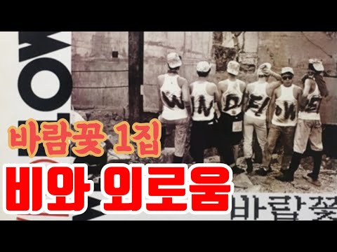 LP Vinyl 바람꽃 비와외로움 오늘 늦가을 비가 촉촉히 이 노래 좋아했던 친구가 떠오르는 곡 나이가 들어갈수록 친구가 그리워지는 가봅니다