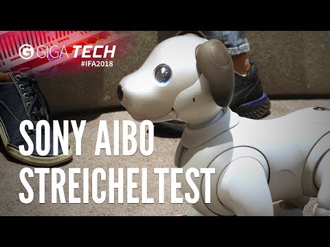 Video: Wie viel kostet Aibo der Roboterhund?