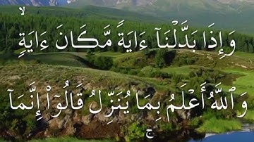 سورة النحل صفحة ٢٧٨ مكتوبة مكررة بصوت سعد الغامدي