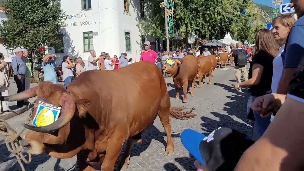 Feira das colheitas|Arouca|Portugal 