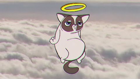RIP Grumpy Cat