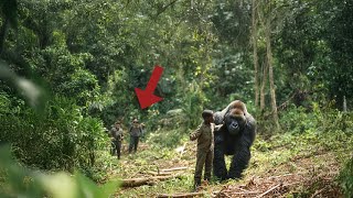 Small Boy Risks Life To Protect Endangered Gorilla, Then The Unthinkable Happens
