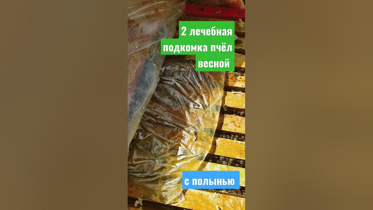 Подкормка пчел полынью. Хобби уральца пчеловодство подкормка пчел весной. медовое сыто для пчел весной пропорции. весенняя подкормка пчел. медовая сыта для подкормки пчел весной рецепт пропорции таблица.