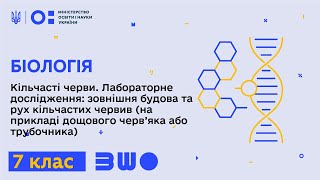 7 клас. Біологія. Кільчасті черви. Лаб. дослідження: зовнішня будова та рух кільчастих червив Ч.2