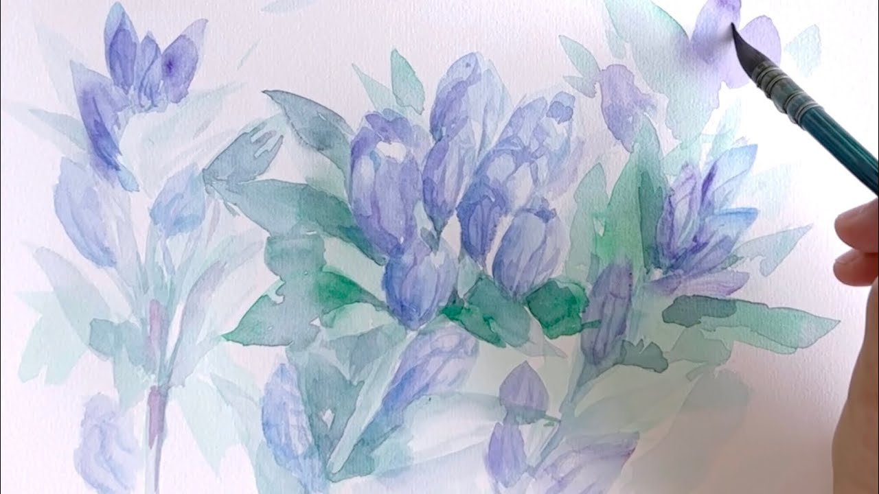 紫陽花とリンドウ 水彩画 ②夏の花リンドウを透明水彩で描く/watercolor painting of