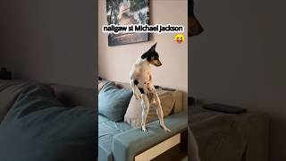 Moonwalk In The Living Room