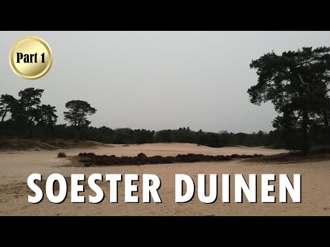 SAND DUNES OF SOEST (1/2) SOESTER DUINEN SUNSET | De Korte Duinen | Het Veldje @ Soestduinen (2022)