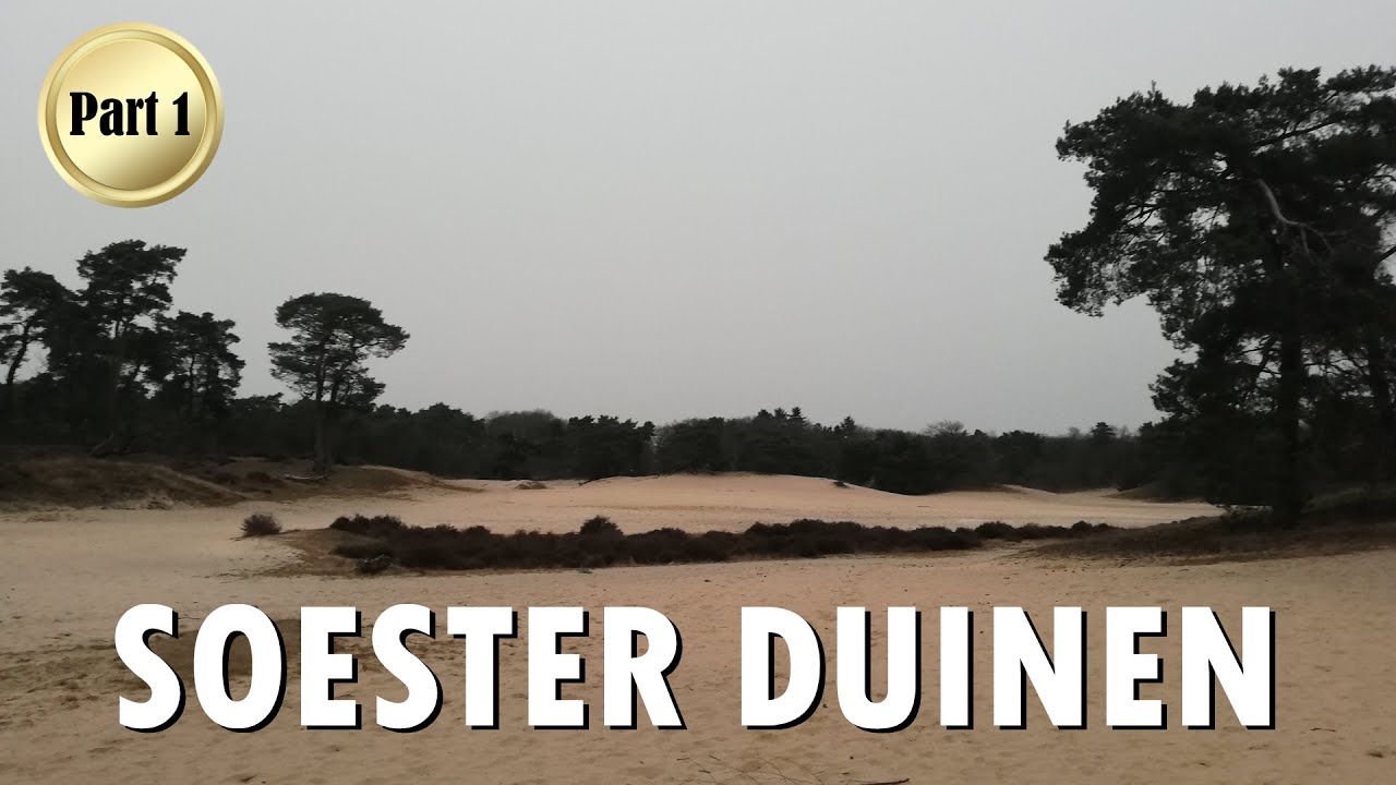 SAND DUNES OF SOEST (1/2) SOESTER DUINEN SUNSET | De Korte Duinen | Het Veldje @ Soestduinen (2022)