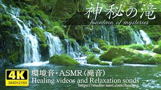 [Environmental sound / ASMR] Mysterious waterfall and river babbling sound