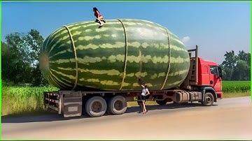 300 Modern Agriculture Machines That Are At Another Level !!