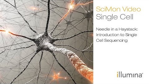 Needle in a Haystack: Introduction to Single Cell Sequencing | Illumina SciMon Video