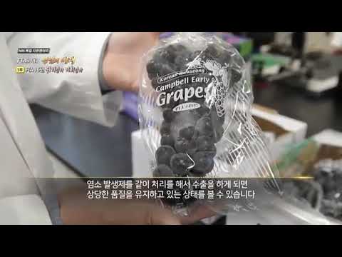 한국농업방송nbs퓨어오투 이산화염소 겔팩 선도유지제