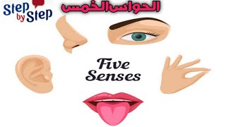 الحواس الخمسة بالإنجليزية 🗣️ Five senses #الحواس_الخمسة_بالإنجلش #five_senses