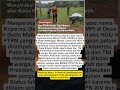 Enrekang Memanas! Lahan Petani Digusur untuk Koperasi Merah Putih #viral #beritaterkini #KDMP