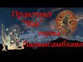 Практика-Чод. Падмасамхава. Комментарий -Тулку Урген Ринпоче. Подношение и даяние сообственного тела