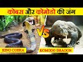 क्या होगा जब King Cobra और Komodo Dragon के बीच घमासान होगा? | King Cobra vs Komodo Dragon