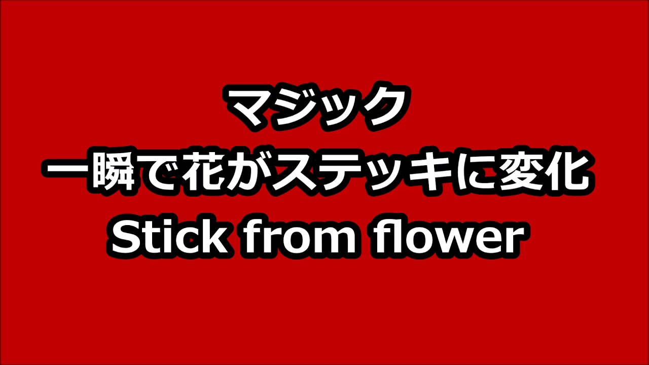 一瞬で花からステッキに変化するマジック Youtube