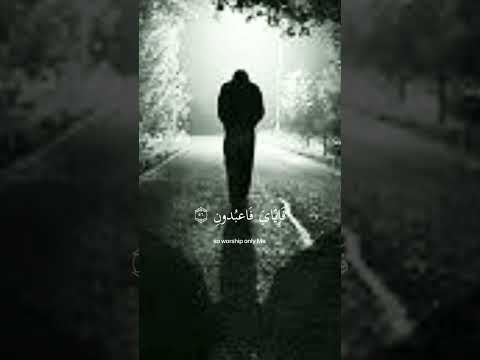 ارح سمك بكلام الله سورة العنكبوت القارئ عبد الرحمان مصعد