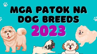 POPULAR DOG BREEDS in PHILIPPINES 2023 | Munting Kennel by Munting Kennel 6,225 views 1 year ago 6 minutes, 13 seconds