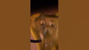 ASMR Damla bear vs hook close-up macro #shorts #satisfying #closeup #asmr #macro