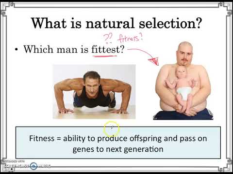 Natural Selection: Survival of the Fittest – Sprouts – Learning Videos –  Social Sciences