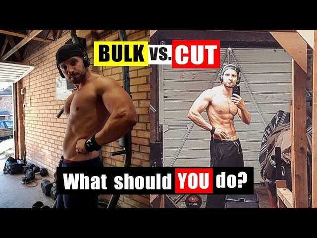 Bulking vs. Cutting: Pros, Cons, and Comparison
